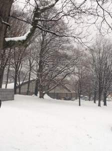A view of the Reilly Rink from the reservoir