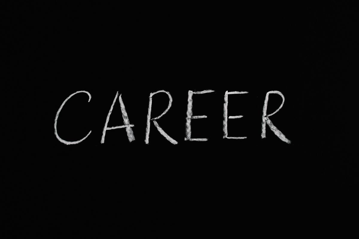 These New BC Law Employment Numbers are Crazy Good BC Law Impact